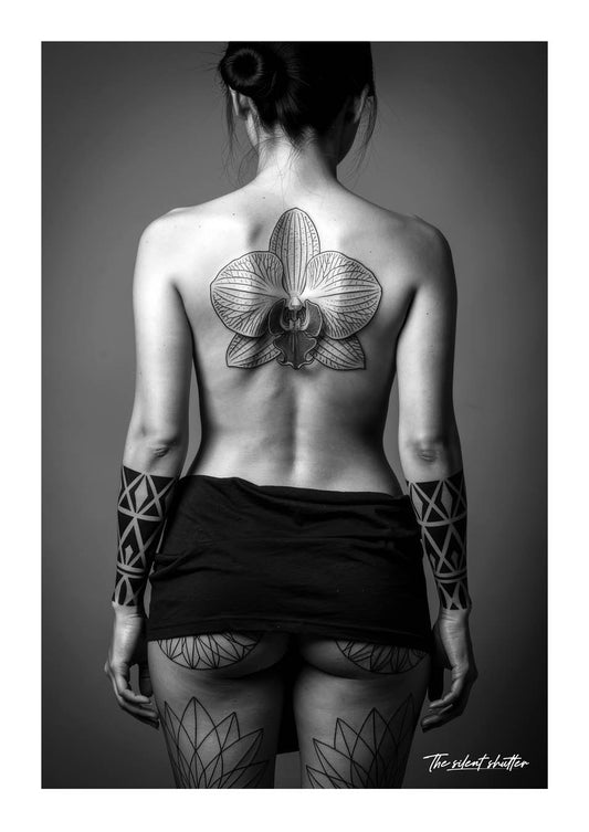 The Arch of Blossoms