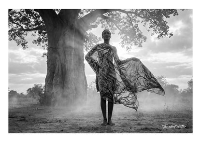Under the Baobab Sky