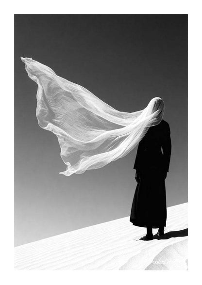 Veiled Horizon - The Silent Shutter