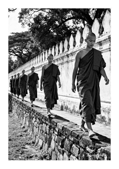 Wall Walk - The Silent Shutter