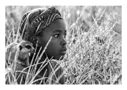 Whispers in the Grass