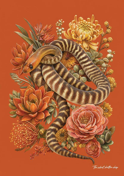 Woma Python