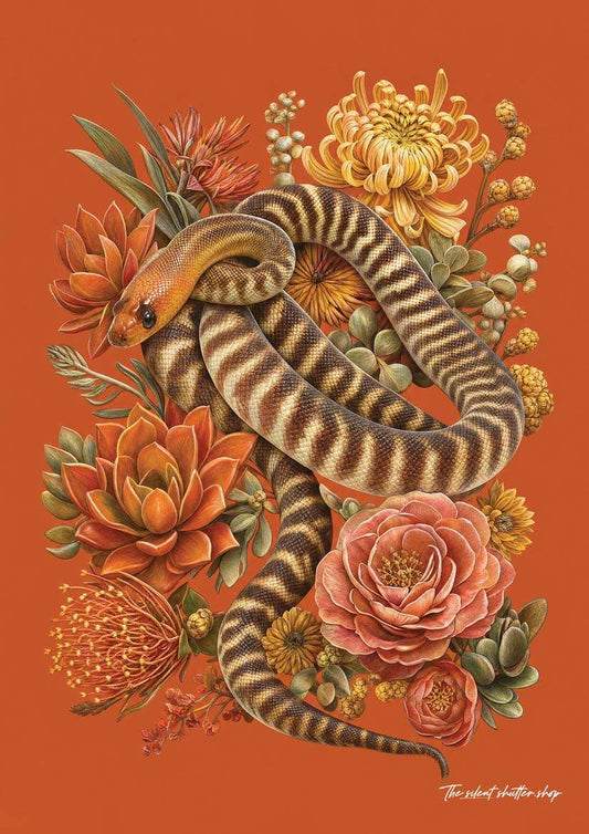 Woma Python