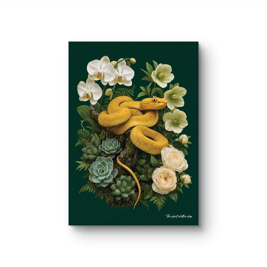 Eyelash Viper