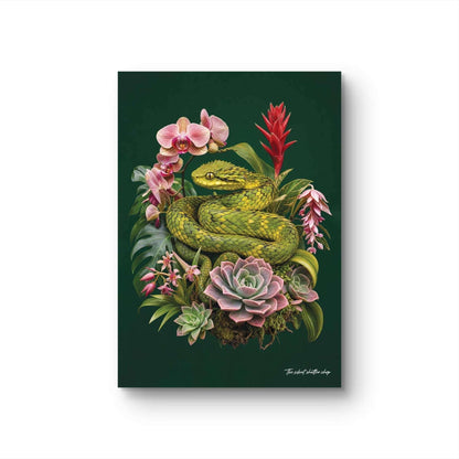 Variable Bush Viper
