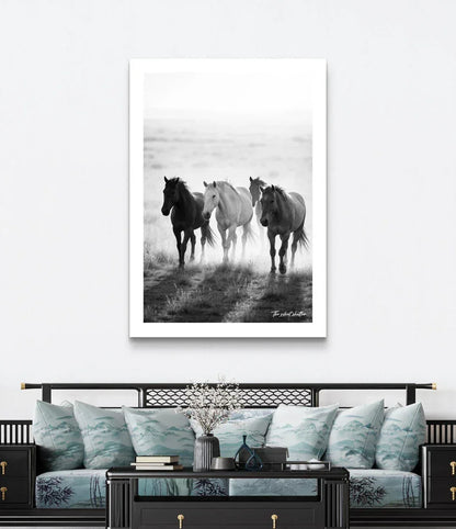 Sun baked grasslands - The Silent Shutter