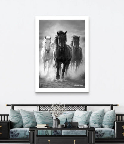 Wild - The Silent Shutter