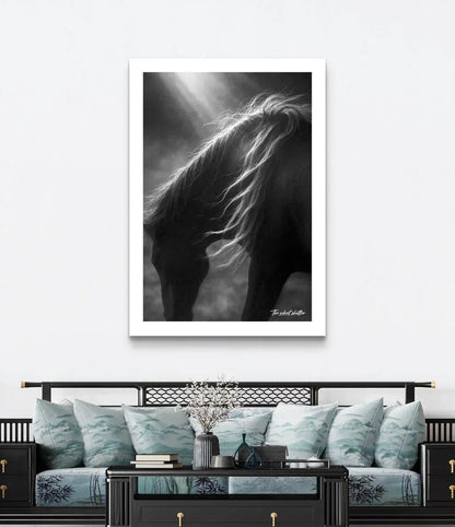 Stallion Splendor - The Silent Shutter