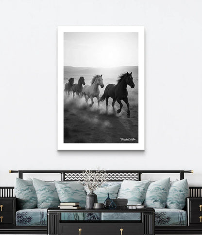 Lead - The Silent Shutter