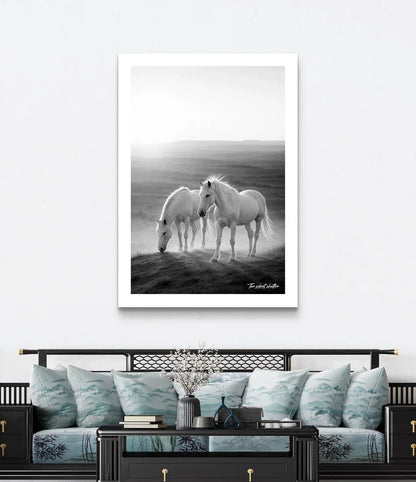 Dawn - The Silent Shutter