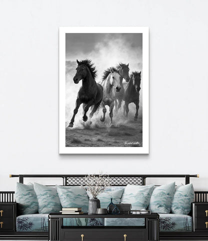 Untamed Strength - The Silent Shutter