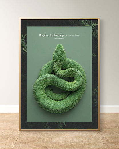 Rough-scaled Bush Viper - Atheris squamigera