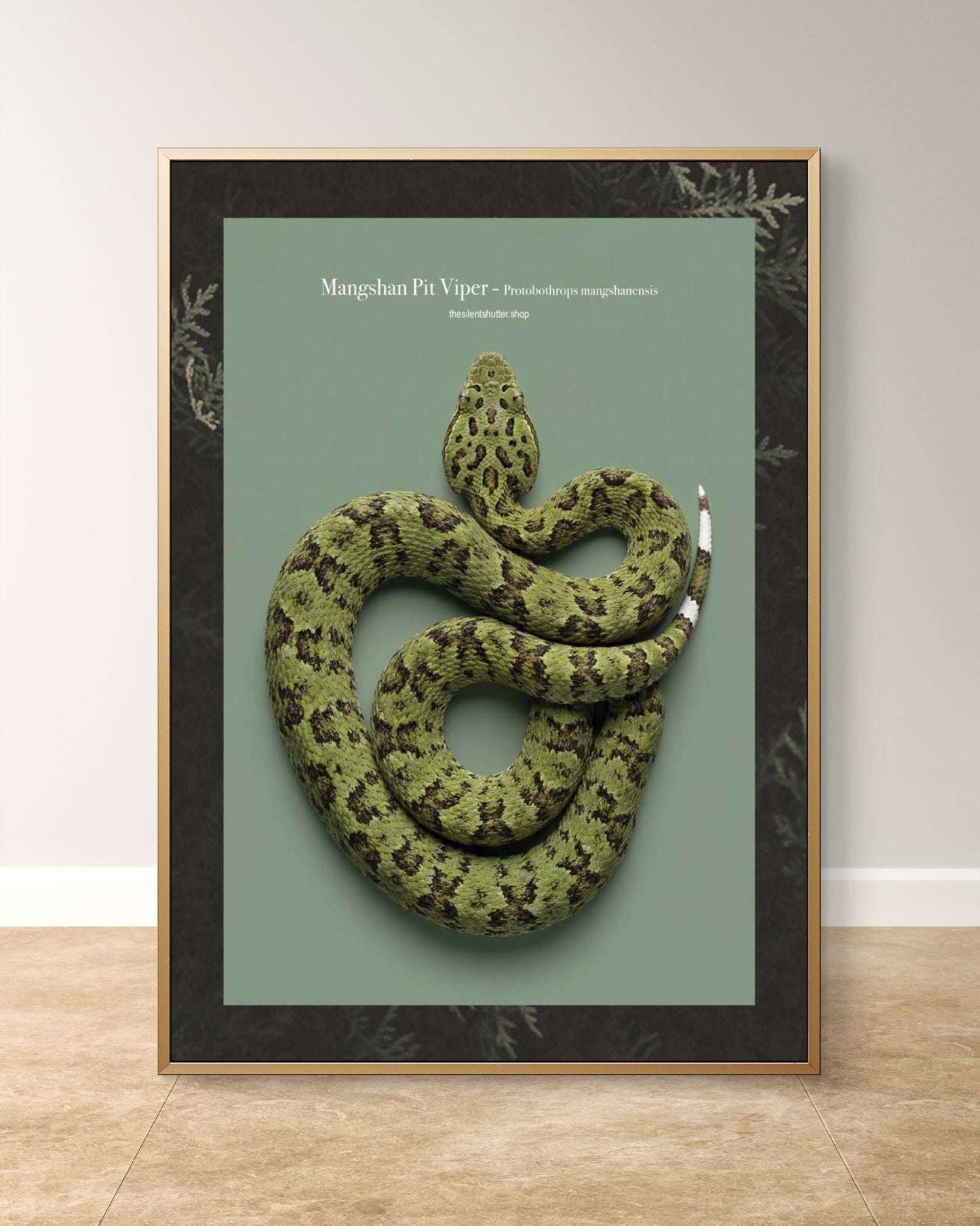 Mangshan Pit Viper - Protobothrops mangshanensis