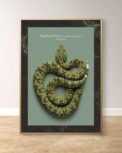 Mangshan Pit Viper - Protobothrops mangshanensis