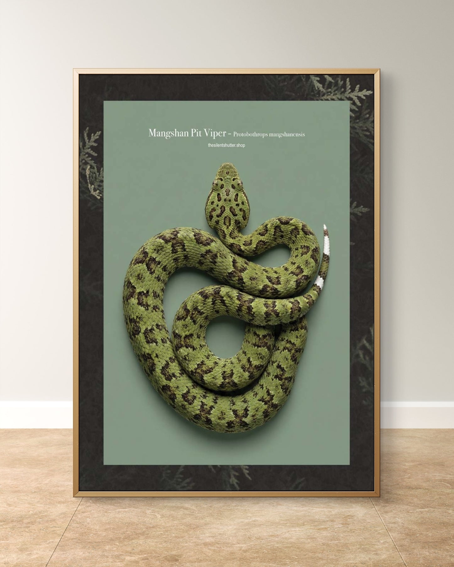 Mangshan Pit Viper - Protobothrops mangshanensis