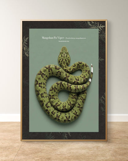 Mangshan Pit Viper - Protobothrops mangshanensis