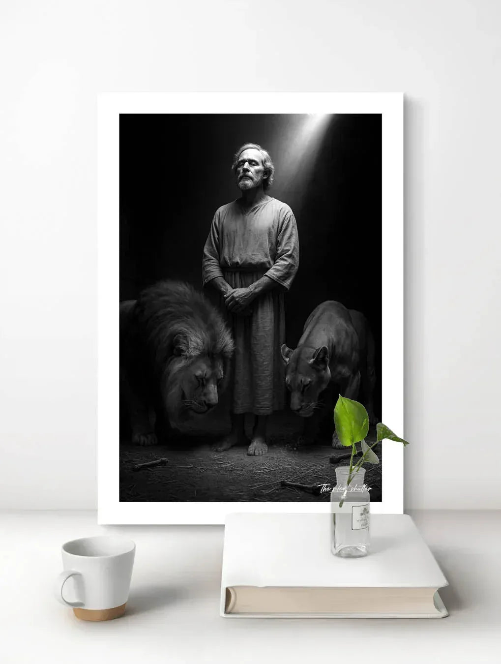 Daniel Divine Reverence - The Silent Shutter